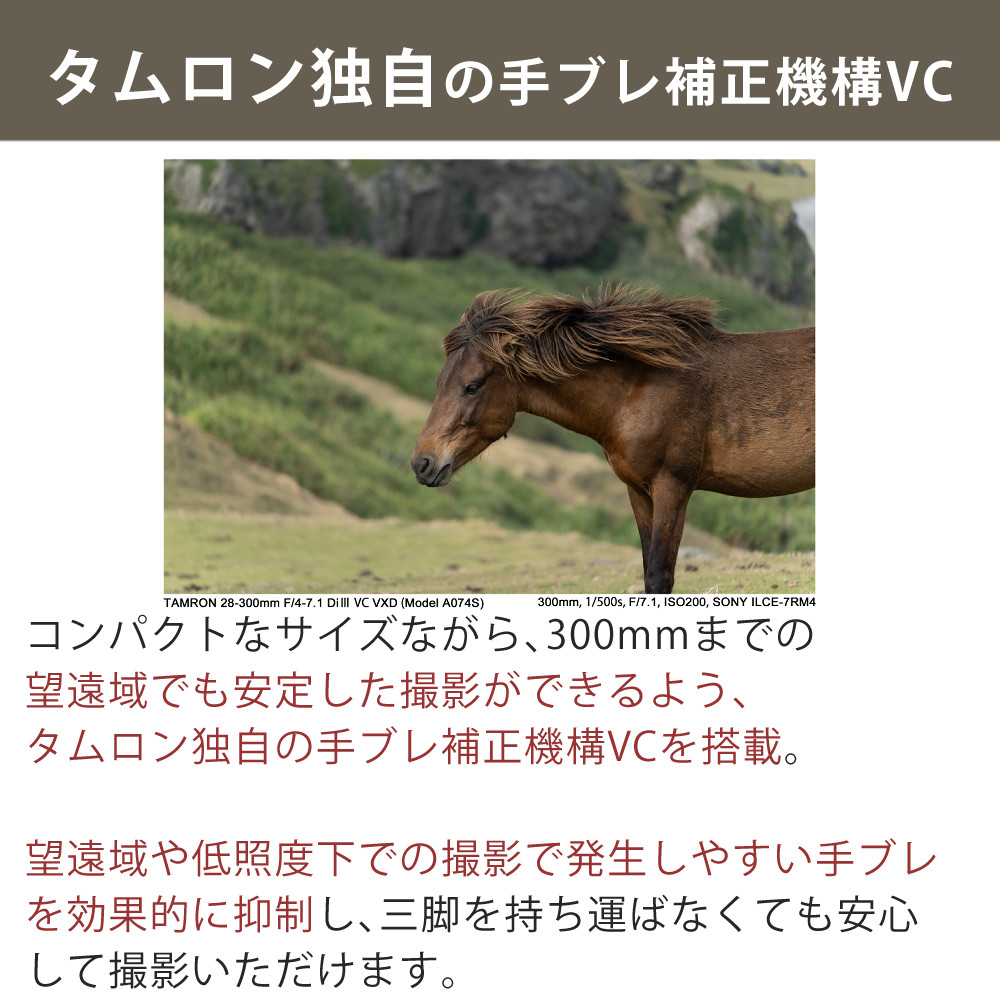 TAMRON （レビューでプレゼント）タムロン 28-300mm F4-7.1 Di