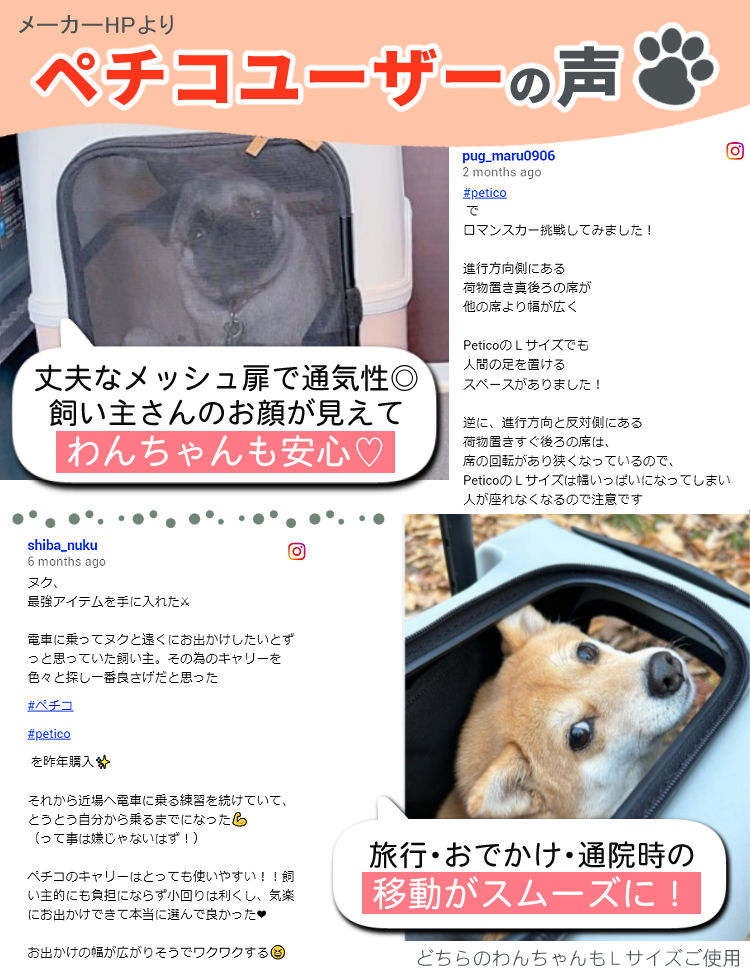 LEGEND WALKER（レジェンドウォーカー） レビュー特典あり（耐重量13kg