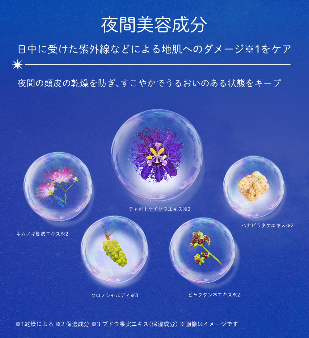 2026年春限定 YOLU ヨル トリーツスプリング ディープナイト リペア