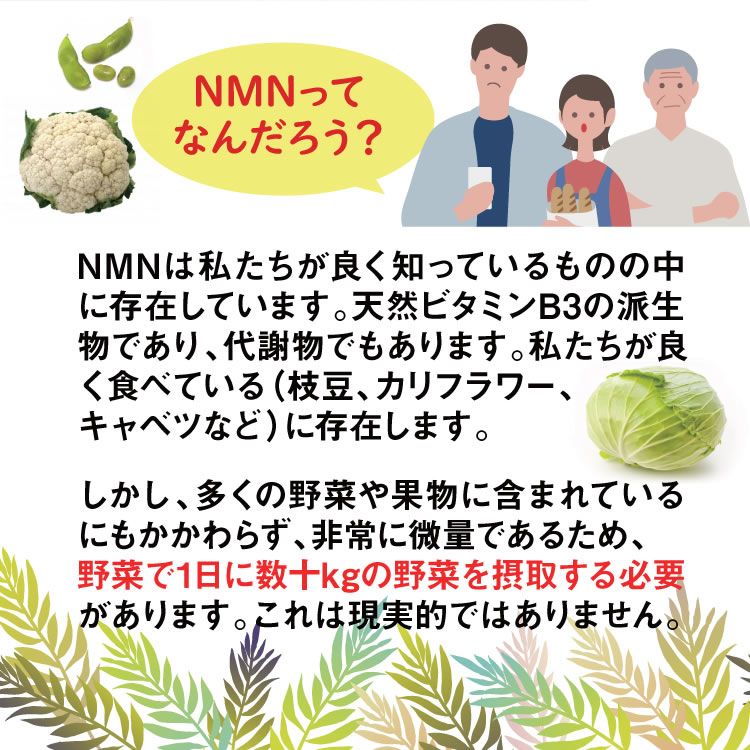 沖縄長生薬草 NMN12000simple adaguen.com