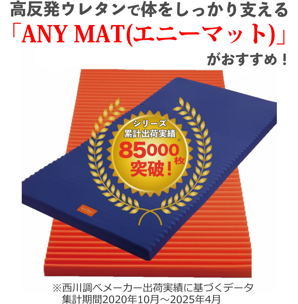 西川（nishikawa） マットレス エニーマット 丸巻き ブルー SD 高反発