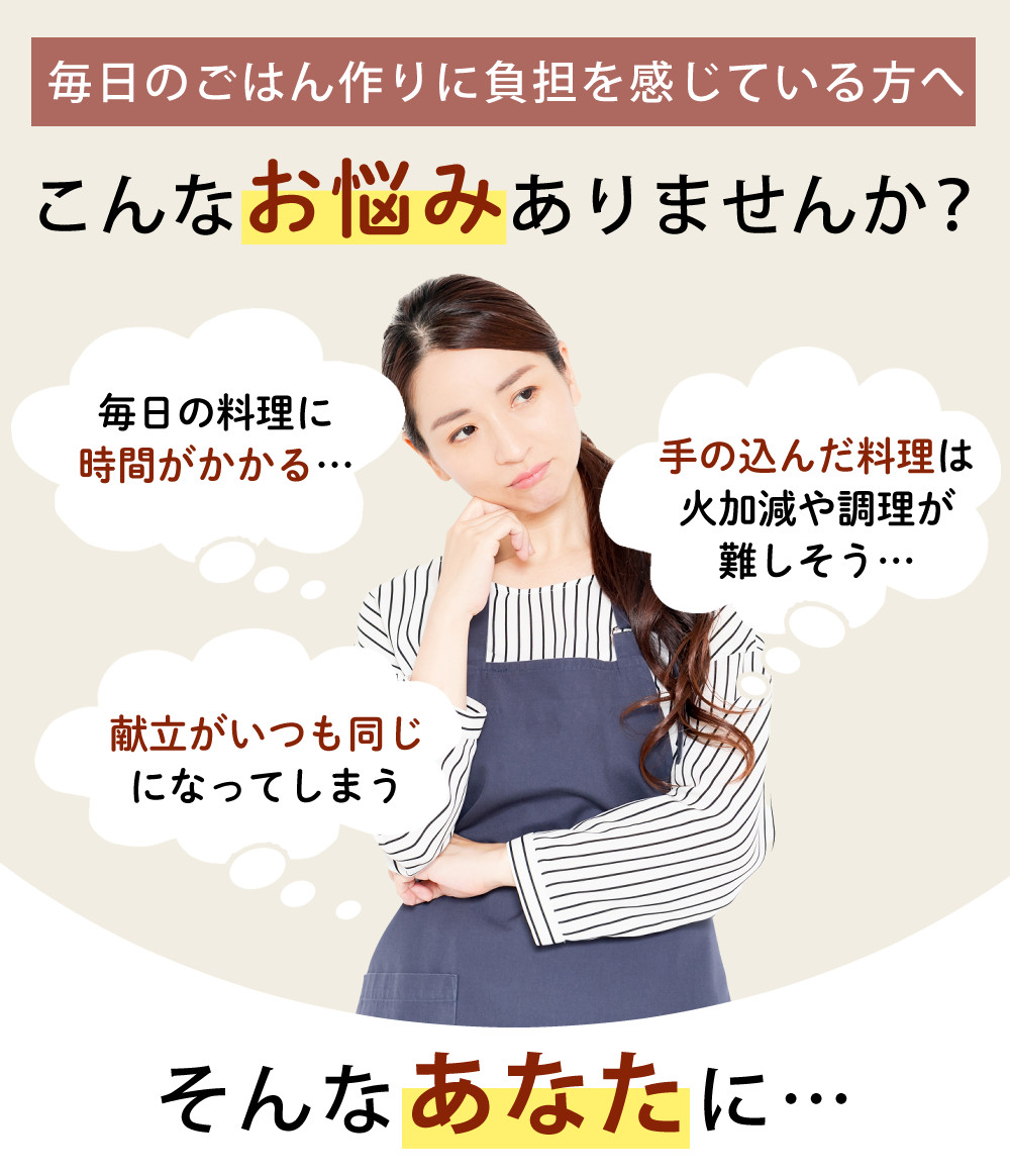 山本電気 自動調理器 スープ クックマスター 旬彩pro YE-CM17B1