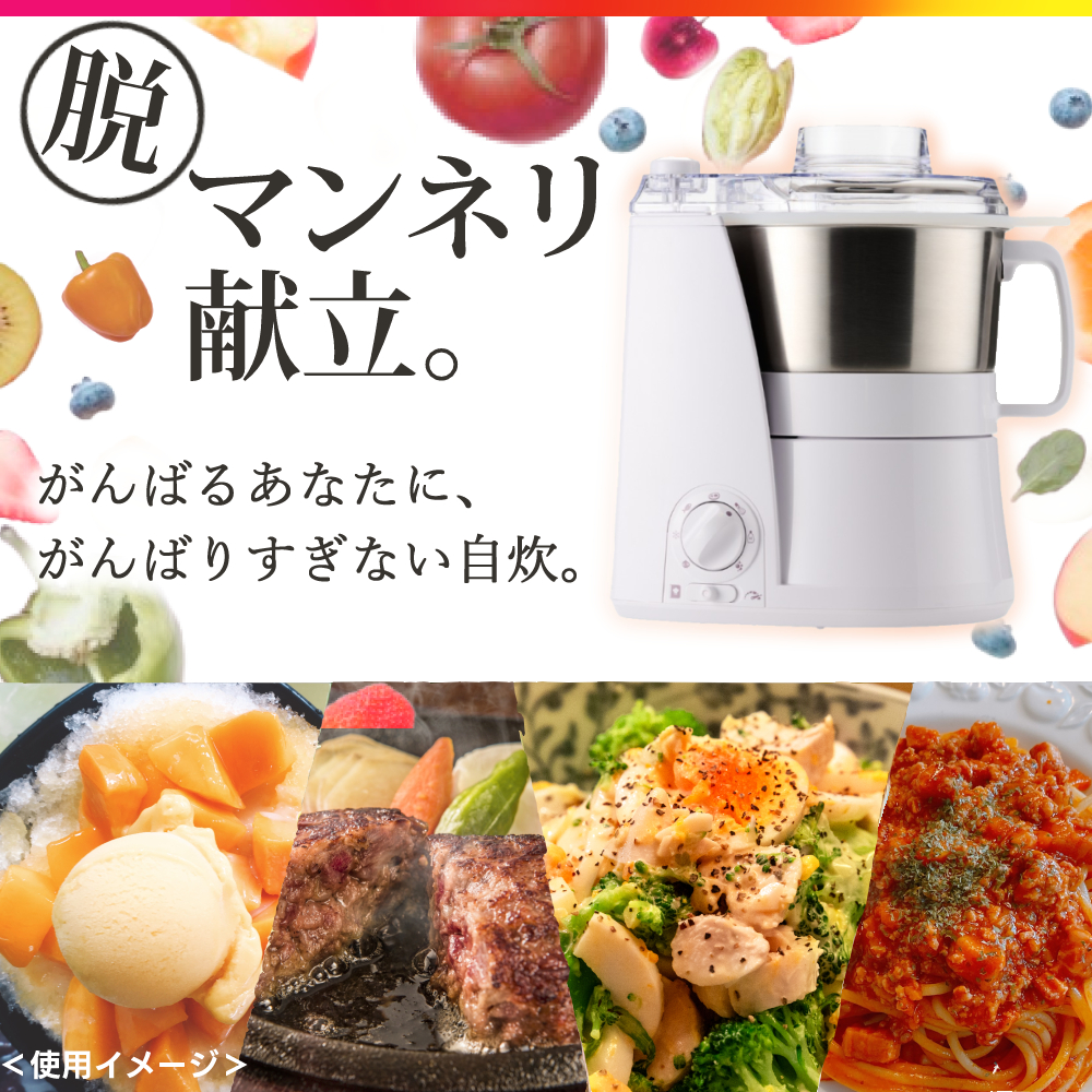 山本電気 マルチスピードミキサー マスターカットプラス YE-MM24A 山本電気 YE-MM24A-WH フードプロセッサー 洗いやすい マスターカット
