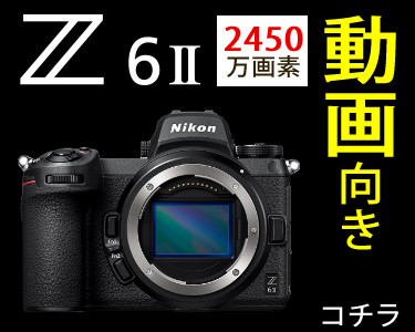 低価再入荷 ニコン パワーコネクター EP-6 《納期未定》 カメラの