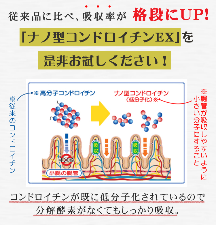 ナノ型コンドロイチンEX 62粒 サプリ 1ヶ月分 丸共バイオフーズ 非変性