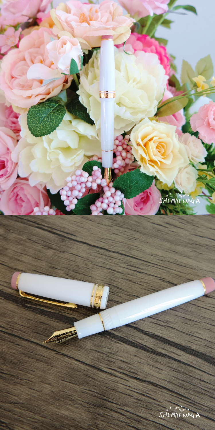 セーラー万年筆 限定商品 ホームショッピングオリジナル 万年筆 春を