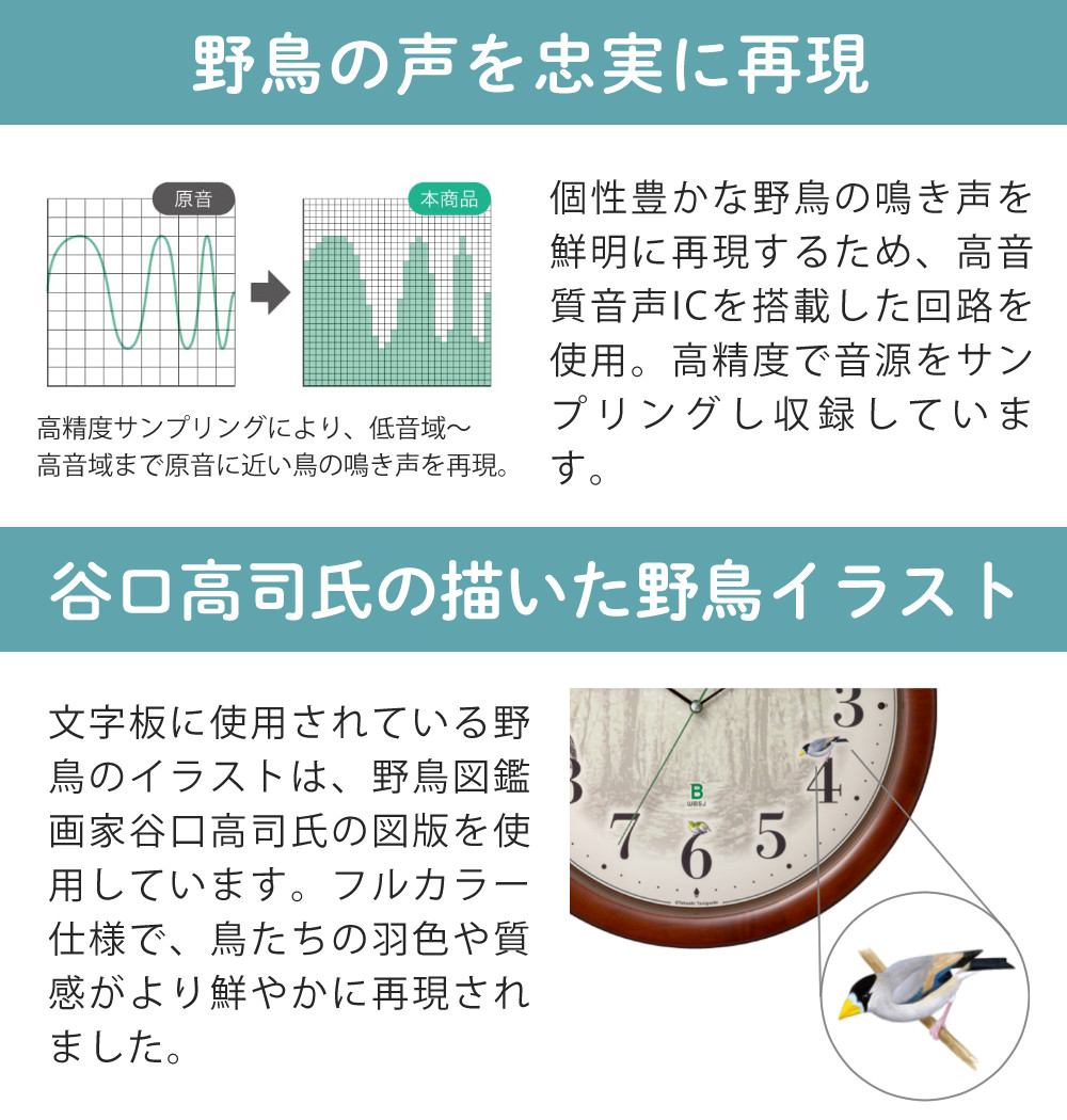RHYTHM （レビュー特典有）リズム 掛け時計 電波時計 日本野鳥の会