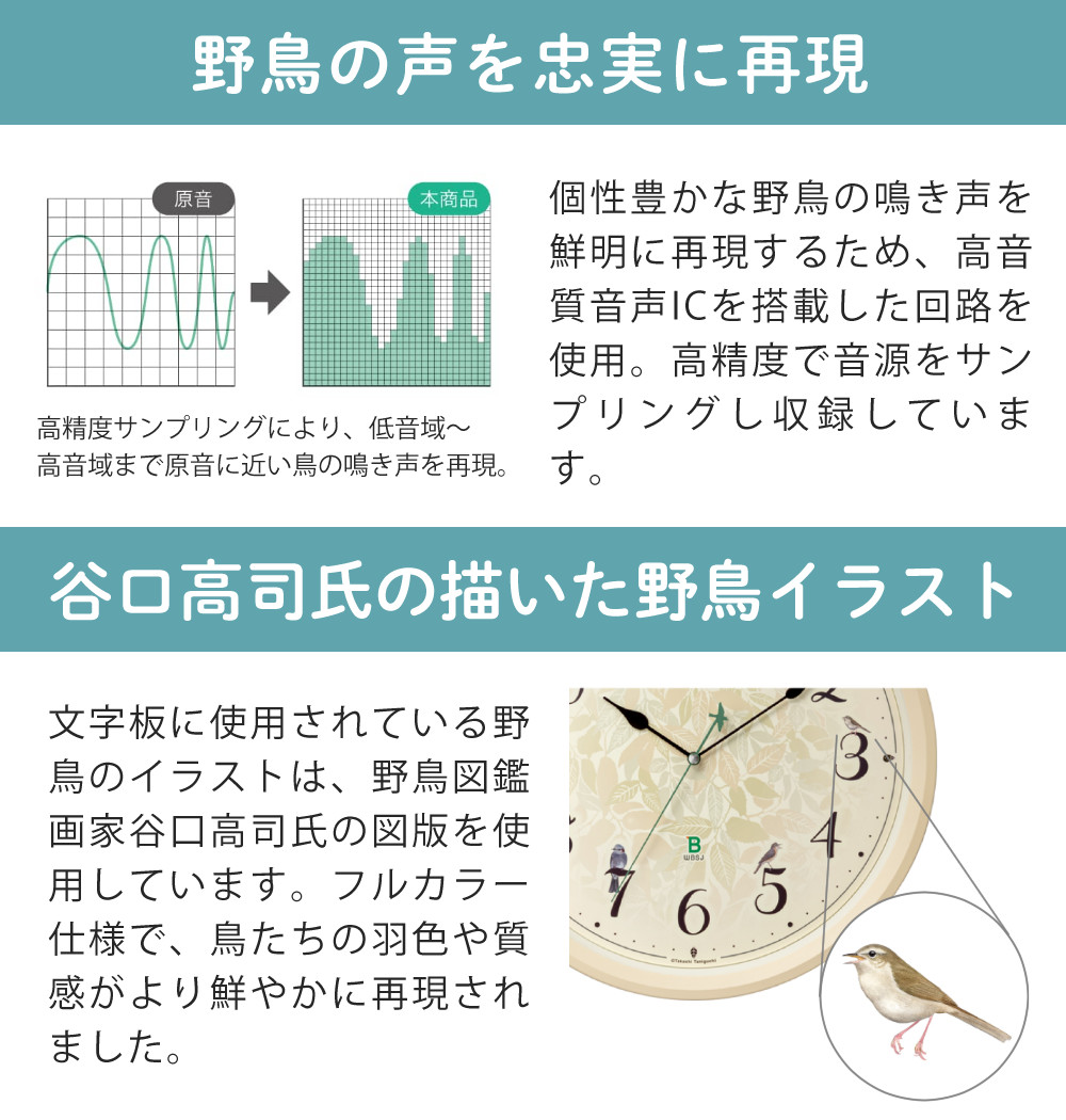 RHYTHM （レビュー特典有）リズム 掛け時計 電波時計 日本野鳥の会