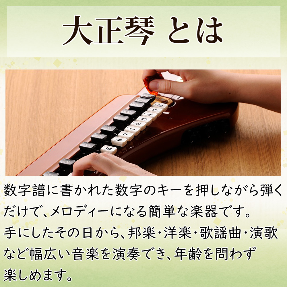 スズキ（SUZUKI） 大正琴 特松 和楽器 高品質 初心者向け 高級ピック4