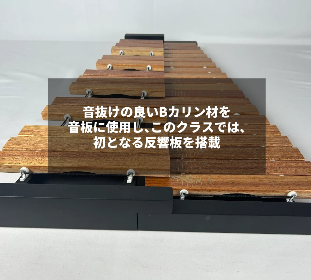 s1700-zen-5012_7.jpg