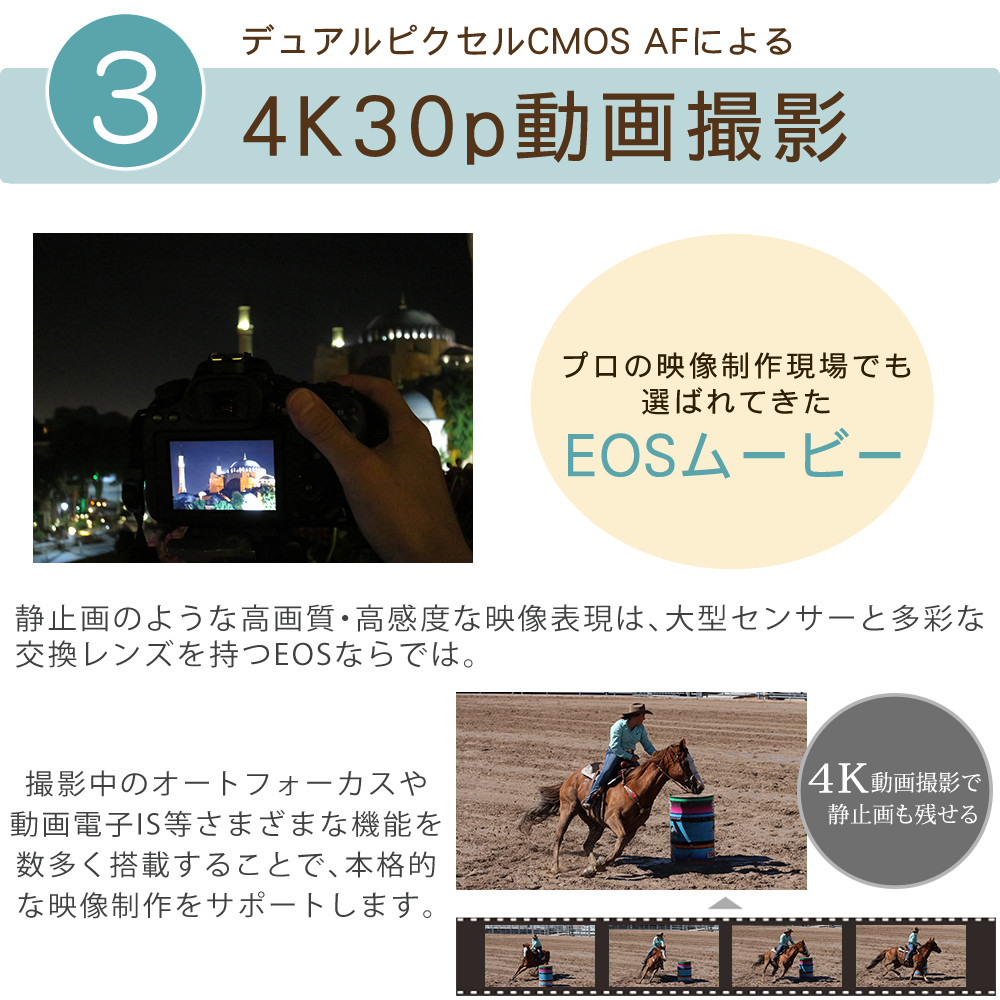Wi-Fi/動画/保証/キャノン Canon EOS 90D 標準レンズセット キヤノン Canon EOS 90Dダブルレンズセット 当店限定多数のオマケ付き