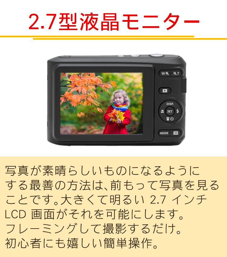 お買得！】 SD 電池 ケース付 コダック デジタルカメラ FZ45 レッド