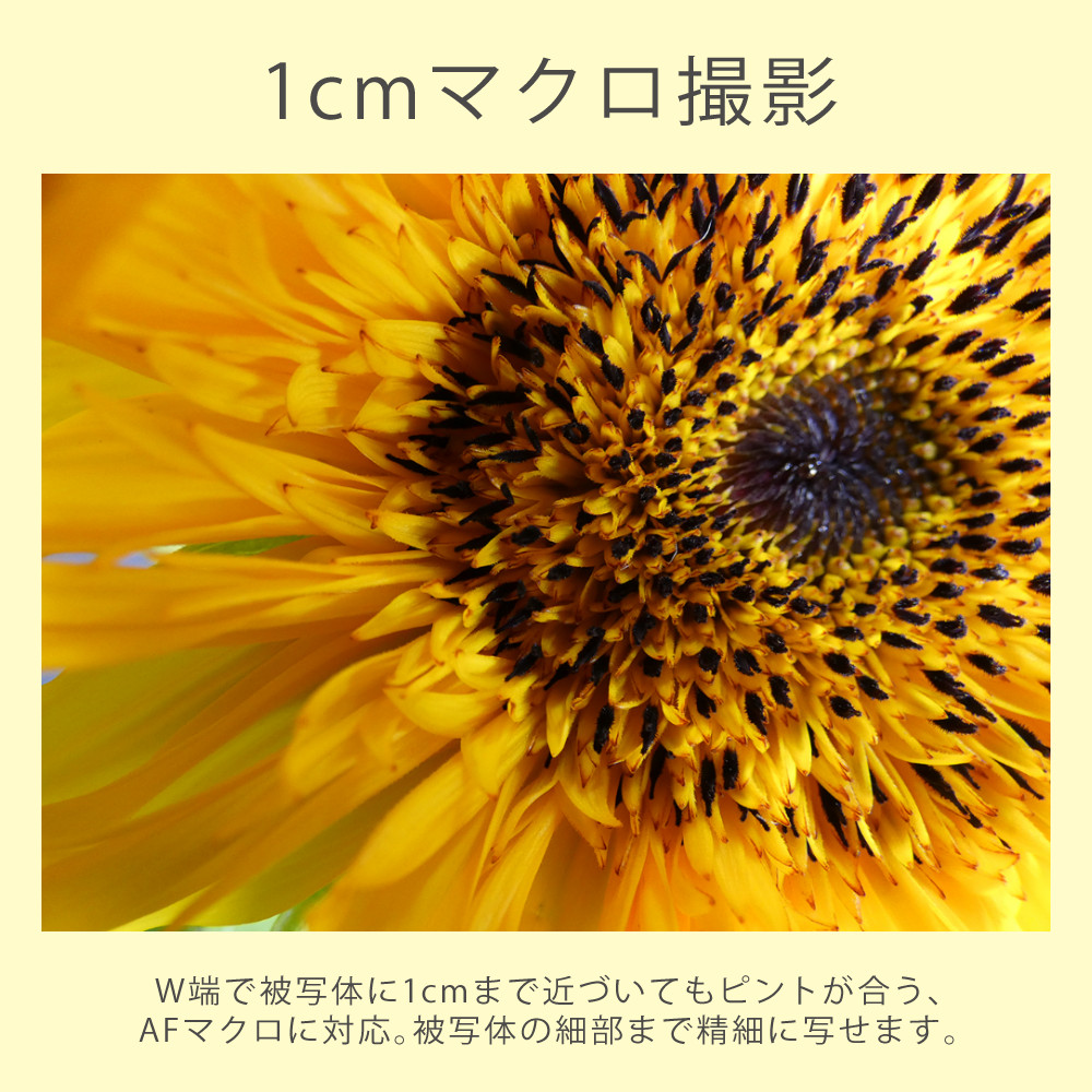 Panasonic パナソニック デジタルカメラ ルミックス LUMIX FZ85D Panasonic パナソニック デジタルカメラ ルミックス LUMIX FZ85D