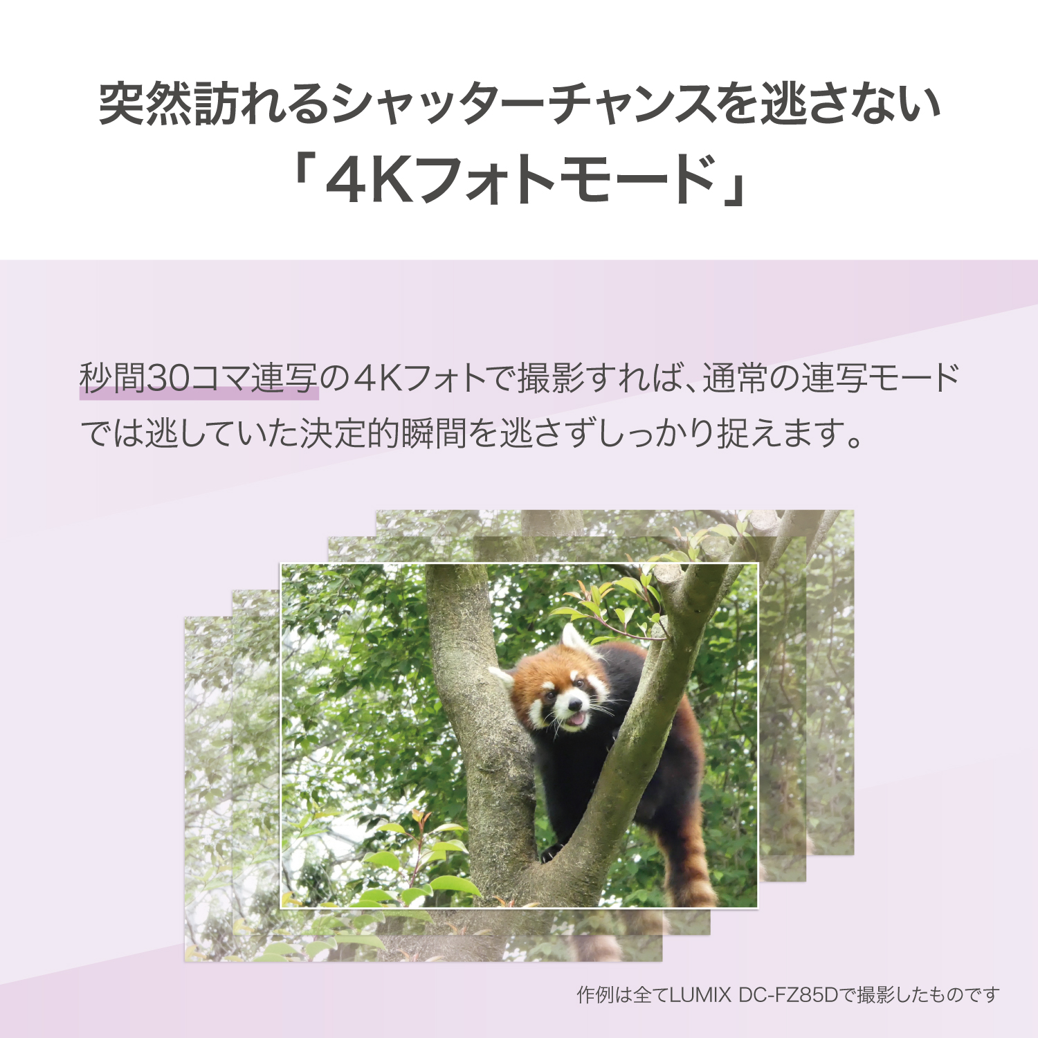 パナソニック(Panasonic) カメラ・レンズ高額買取中商品のご案内