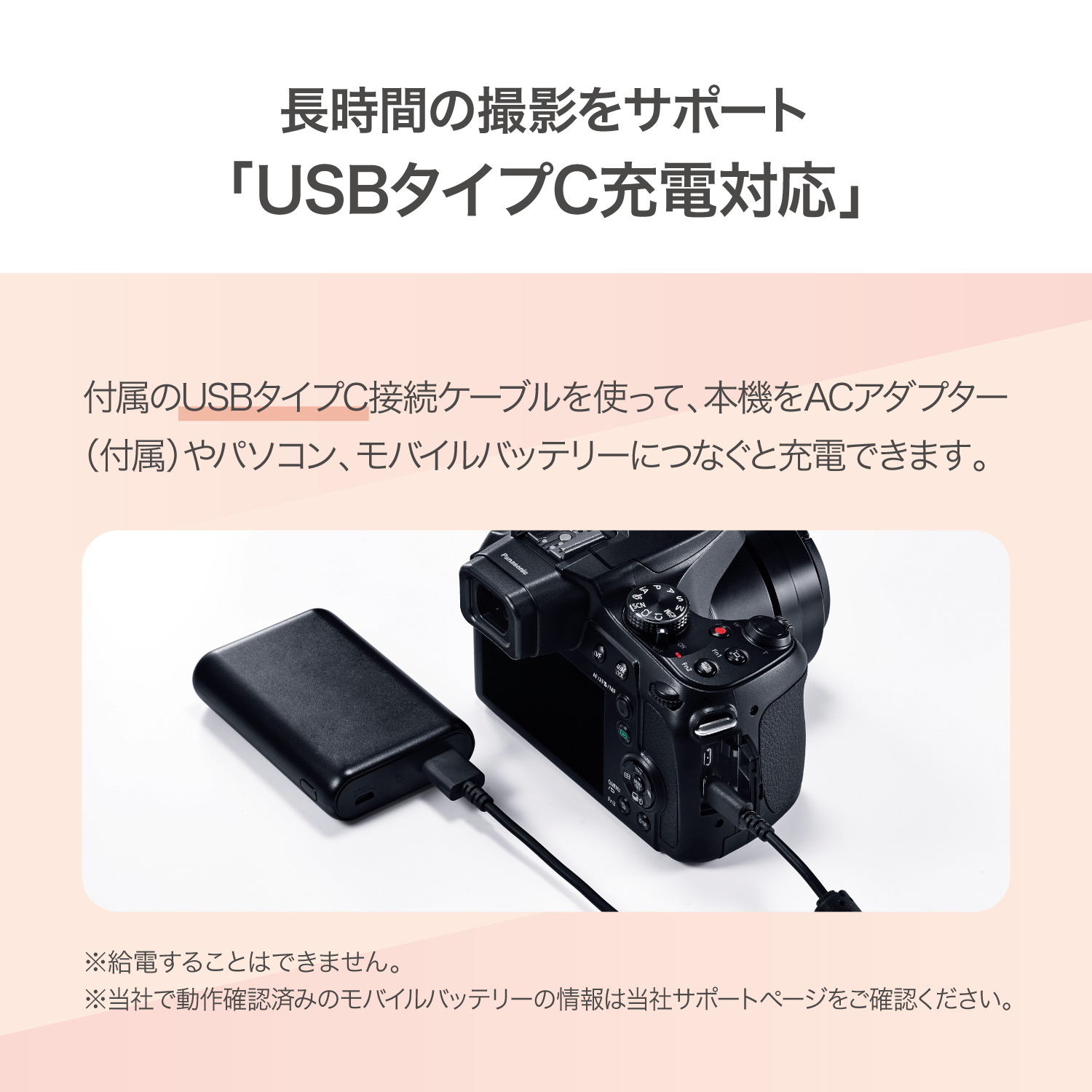 Panasonic（パナソニック） デジタルカメラ ルミックス LUMIX FZ85D