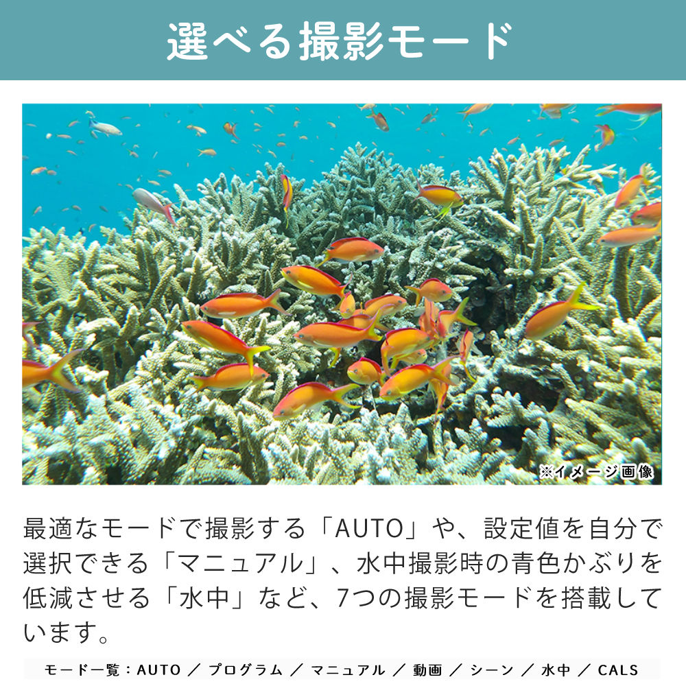 本日限り！ 未使用 PENTAX WG-1000 SDカード•保護フィルム付 ペンタックス PENTAX WG-1000 グレー 液晶保護フィルム＆SDカード付き