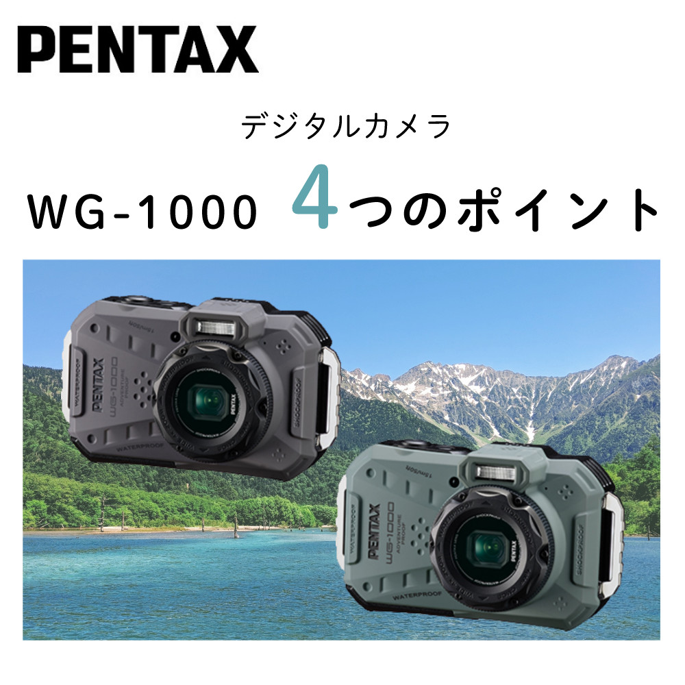 ペンタックス PENTAX デジタルカメラ WG-1000 グレー 液晶保護フィルム