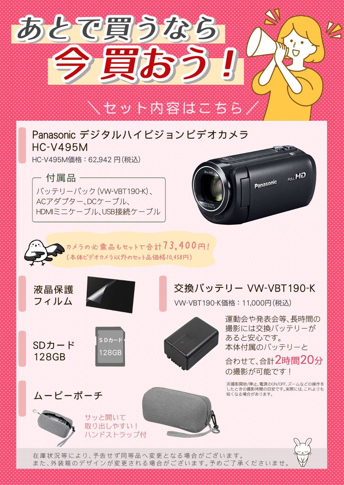 (替えバッテリー・ポーチ等5点セット)Panasonic パナソニック デジタルハイビジョンビデオカメラ HC-V495M