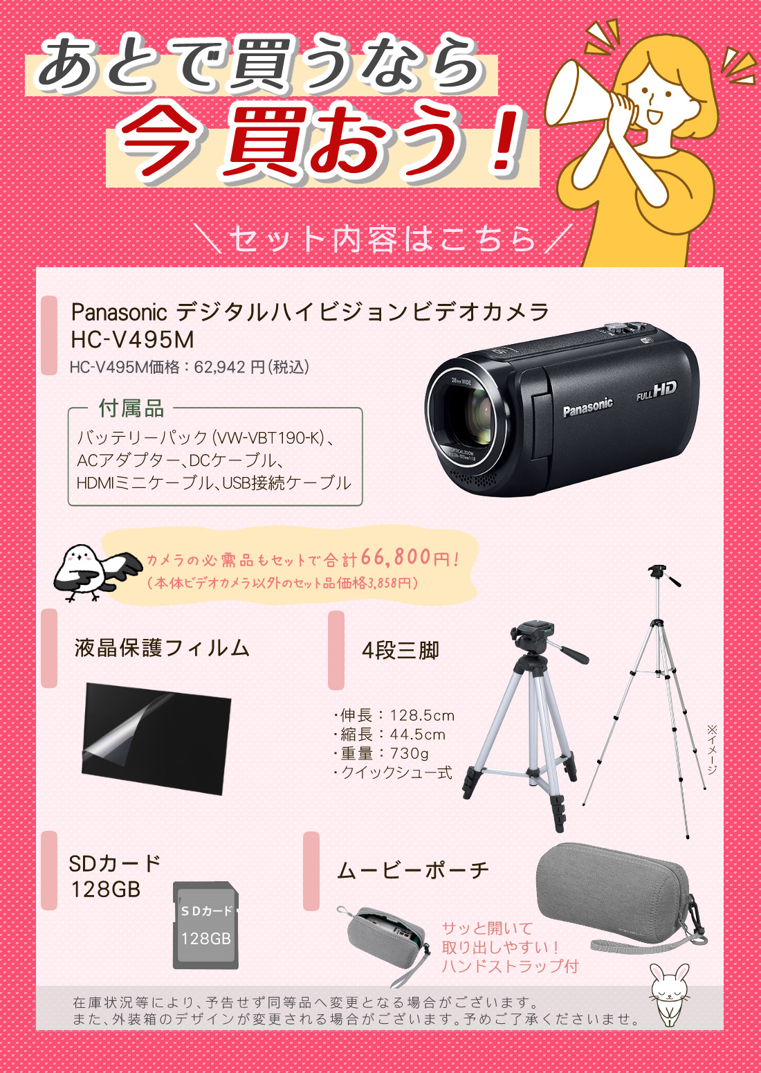 Panasonic パナソニック デジタルハイビジョンビデオカメラ HC-V495M(三脚・ポーチ等5点セット)