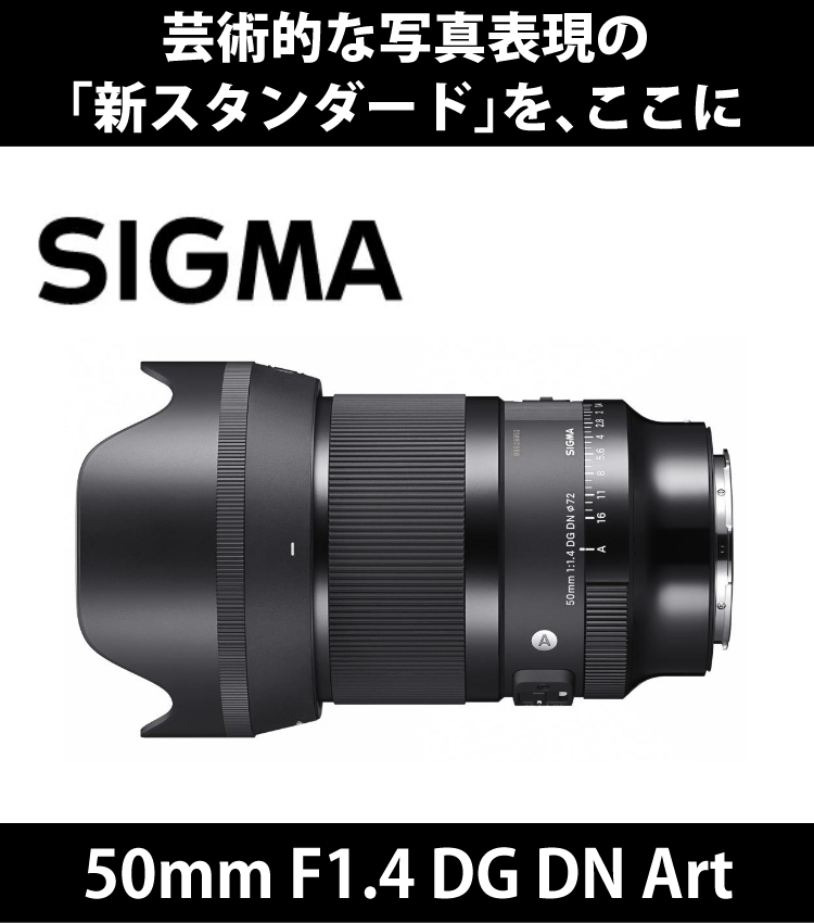 SIGMA 50mm F1.4 DG HSM Art SONY Eマウント用 レンズ 【キャップ
