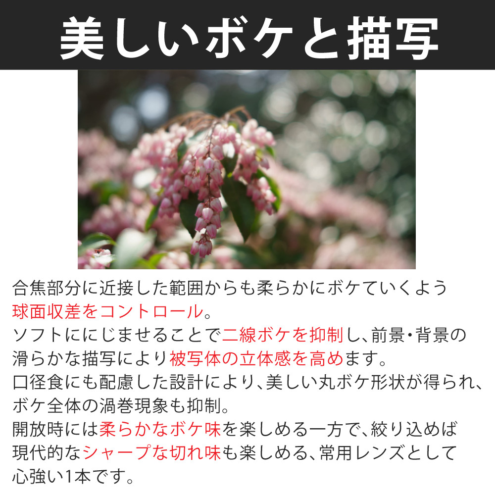 シグマ（SIGMA） （レビューでプレゼント） バッグ付き 45mm F2.8 DG