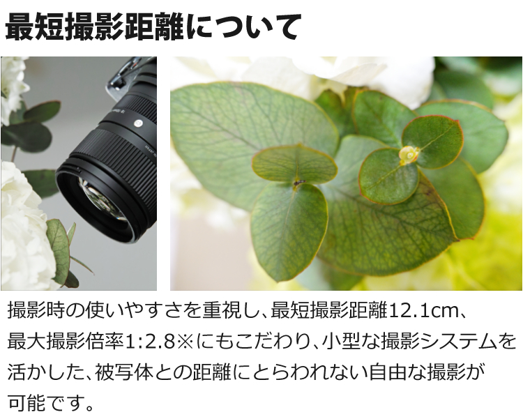 シグマ（SIGMA） （レビューでレンズキャッププレゼント） レンズ保護