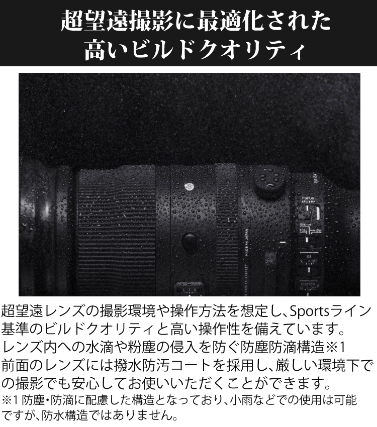 TAMRON 100-400mm F/4.5-6.3 ニコン用 シグマ（SIGMA） （レビューでキャッププレゼント） ケンコー高品質