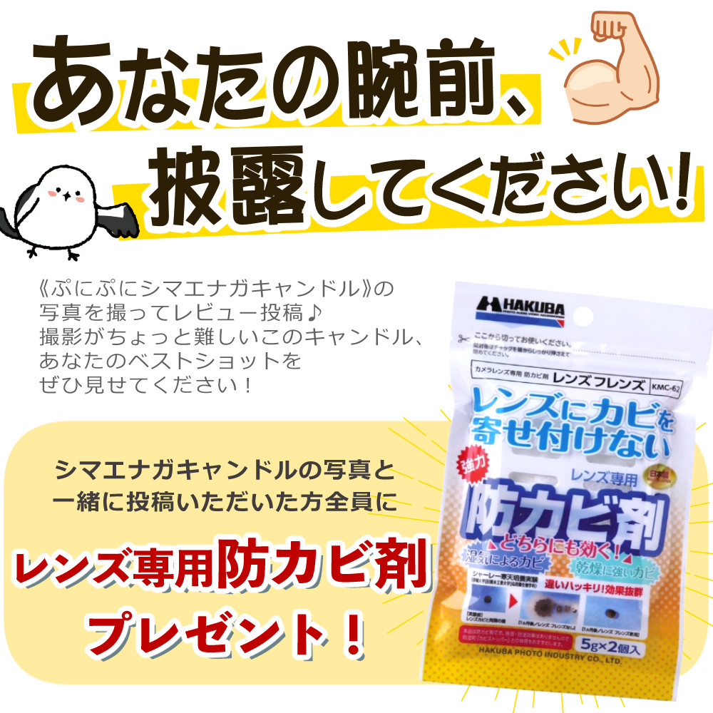 TAMRON （レビューでプレゼント） ケンコー高品質フィルター