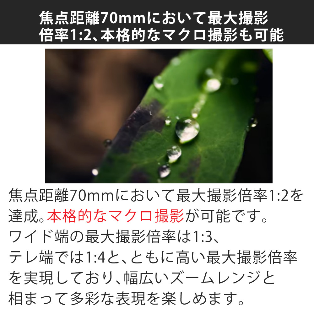 シグマ（SIGMA） （レビューでプレゼント） ケンコー高品質フィルター