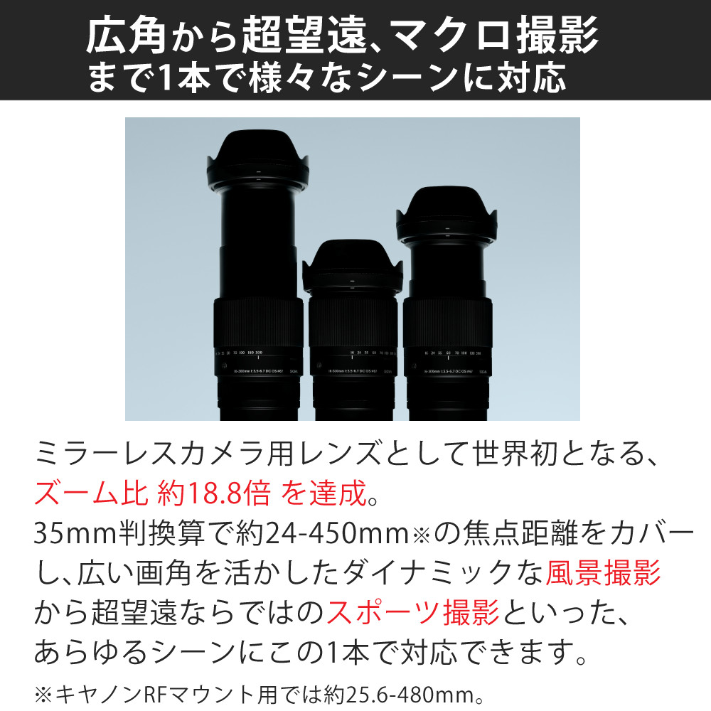 SIGMA 16-300mm F3.5-6.7 DC OS ズームレンズ シグマ（SIGMA） （レビューでプレゼント） ケンコー高品質フィルター