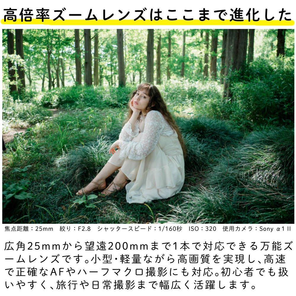 TAMRON（タムロン） 25-200mm F/2.8-5.6 Di III VXD G2 ソニーE