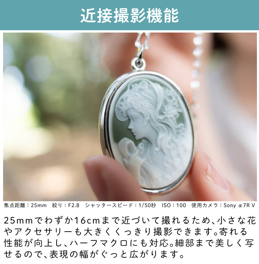 TAMRON（タムロン） 25-200mm F/2.8-5.6 Di III VXD G2 ソニーE