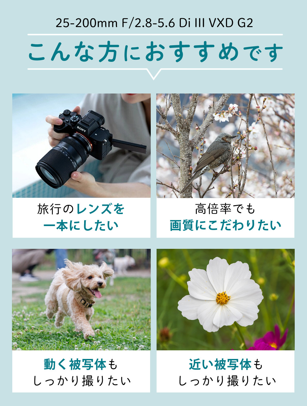 TAMRON（タムロン） 25-200mm 高倍率ズームレンズ F2.8-5.6 Di III VXD