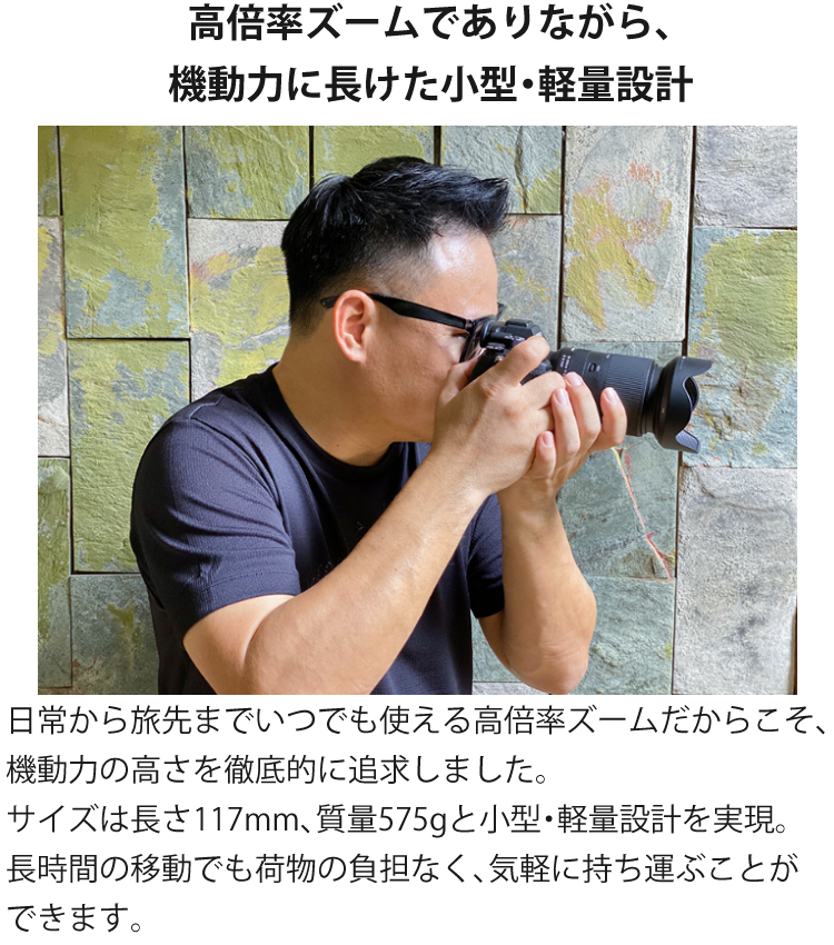 Amazon.co.jp: タムロン(TAMRON) ズーム ソニー E対応 28-200mm