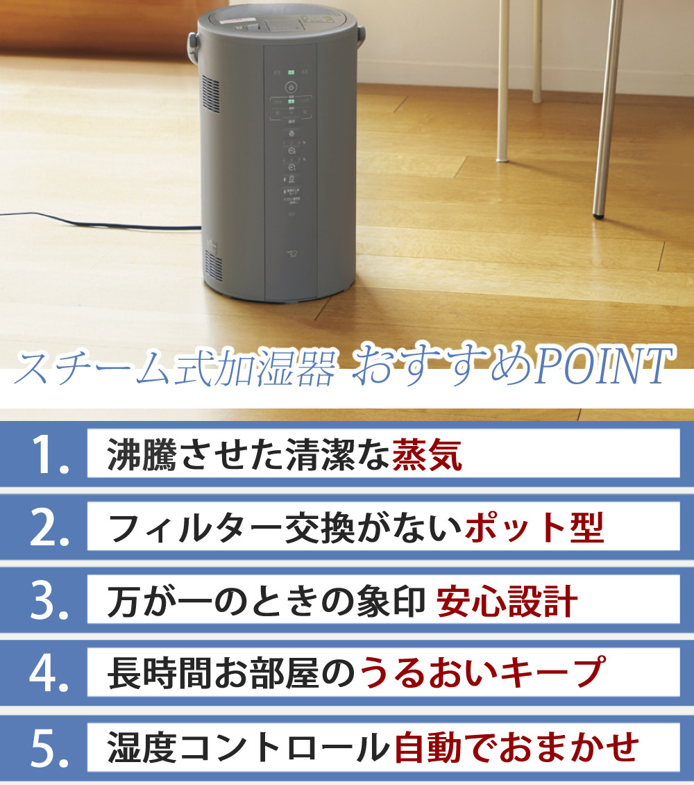 象印（ZOJIRUSHI） 加湿器 スチーム式加湿器 4.0L EE-DF50 グレー