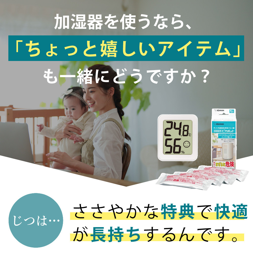 象印（ZOJIRUSHI） 加湿器 スチーム式加湿器 4.0L EE-DF50 グレー