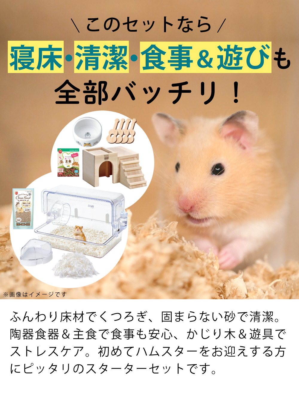 マルカン ハムスター 飼育 8点セット ケージ 床材 ハウス 食器 トイレ