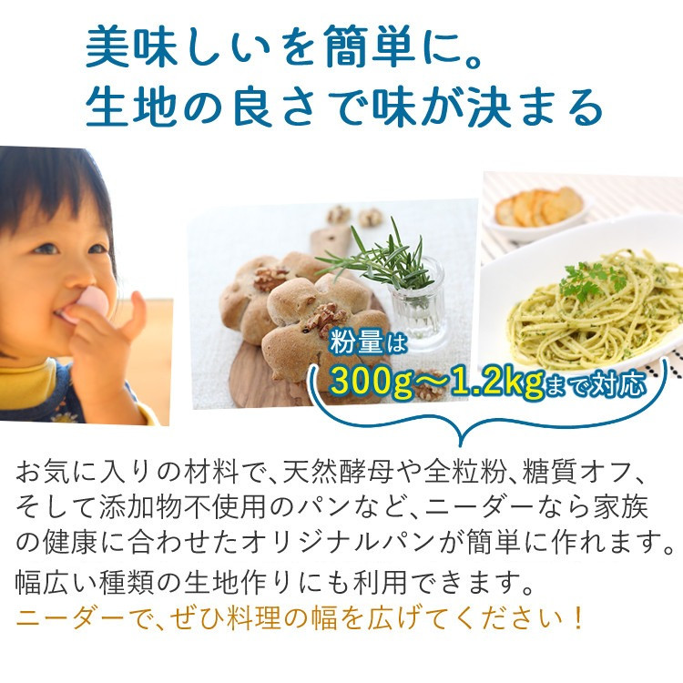 日本ニーダー パンニーダー PK1012PLUS レシピブック付き 3点セット