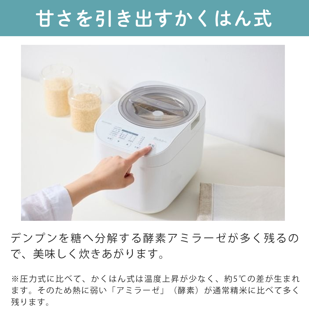 IRIS OHYAMA（アイリスオーヤマ） 米屋の旨み 銘柄純白づき精米機 RCI