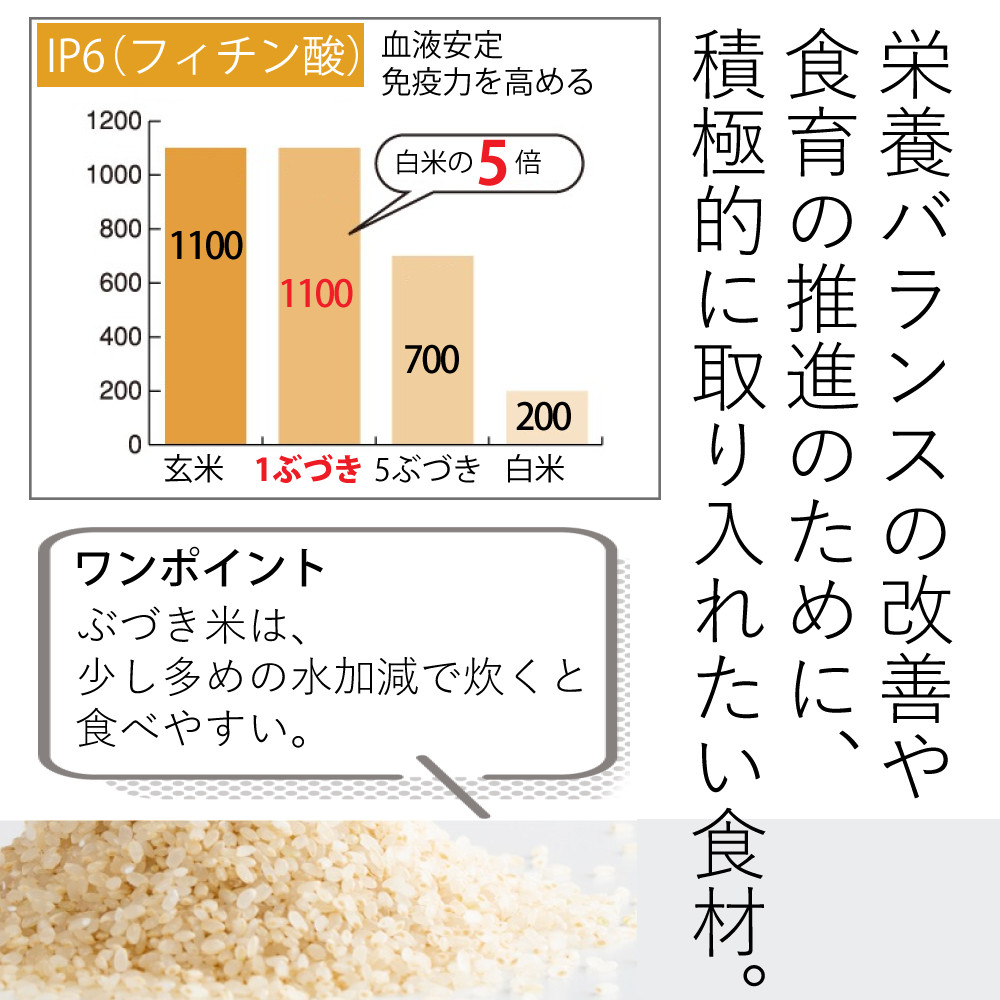 タイワ精機 家庭用精米機 MAIKO マイコ グレー PL-03 ライス