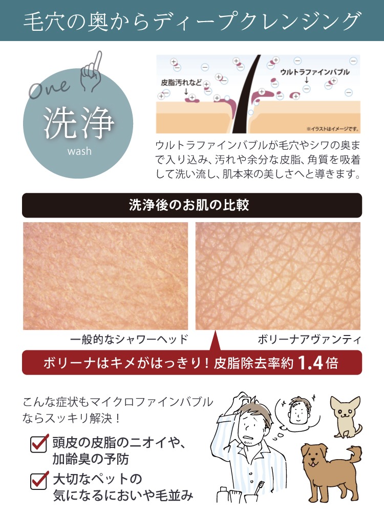 Bollina 選べる特典付 TKS シャワーヘッド ボリーナ