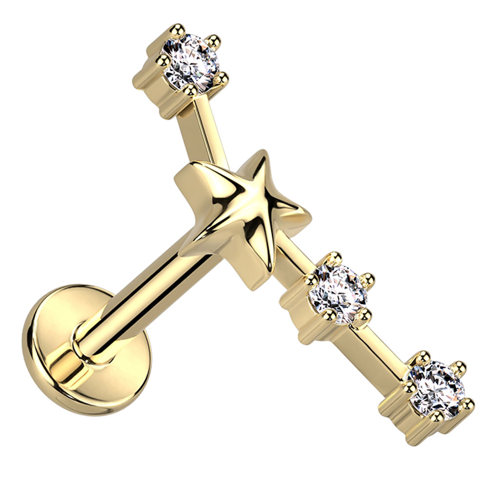 軟骨ピアス 16G 星座 ジュエル インターナル 内ねじ ラブレット