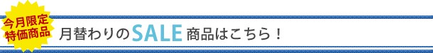 今月限定特価商品 月替わりのSALE商品はこちら!