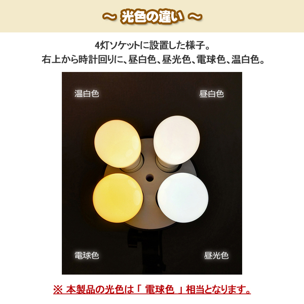 Panasonic（パナソニック） LED電球 小型電球タイプ 40形相当 全方向