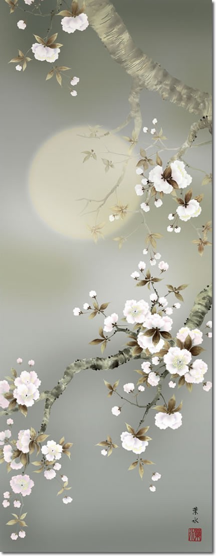 春掛 掛け軸-夜桜/緒方葉水(尺三)床の間 和室 モダン オシャレ インテリア ギフト かけじく 表装 壁掛け 小さい