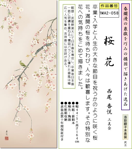 春掛 掛け軸-桜花/西尾香悦(尺三)床の間 和室 モダン オシャレ インテリア ギフト かけじく 表装 壁掛け 小さい