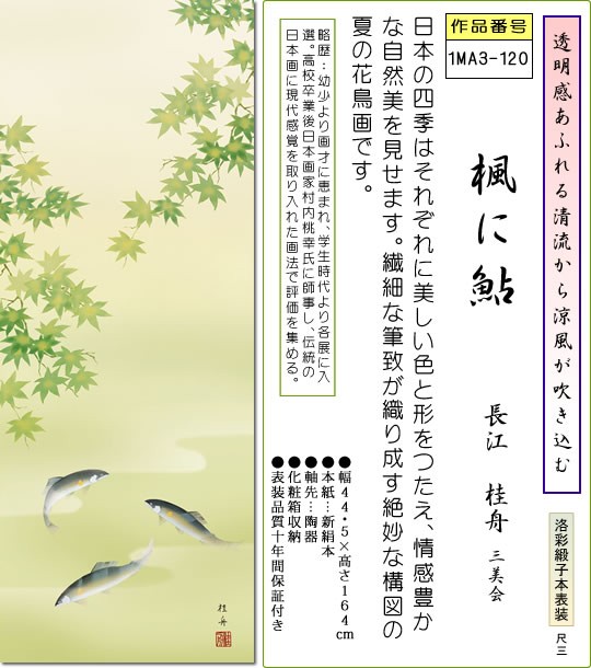 夏掛 掛け軸-楓に鮎/長江桂舟(尺三)床の間 和室 モダン オシャレ インテリア ギフト マンション 壁掛け 小さい 日本画