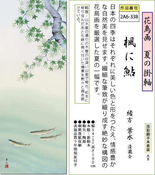 夏の掛け軸 楓に鮎 緒方葉水 尺五 本表装 床の間 花鳥画 モダン