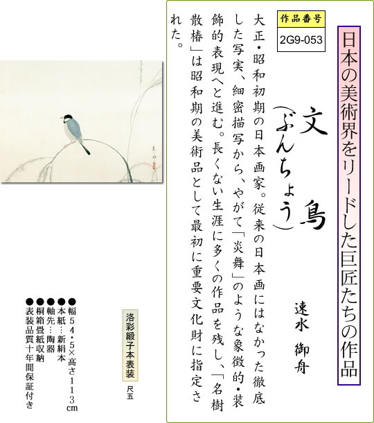 掛け軸 掛軸 文鳥(ぶんちょう) 速水御舟 尺五横 床の間 モダン 巨匠