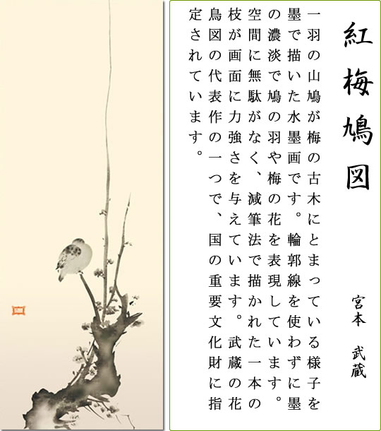 掛け軸-紅梅鳩図／宮本 武蔵(尺五)幅54.5×高さ190cm モダン